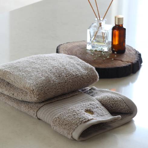 Hampton Avenue Latte Cotton Set of 2 Hand Towels 