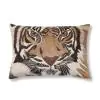 Tiger Cotton Brown Cushion Cover