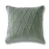 Lineara Mint  Cotton Velvet Cushion Cover 