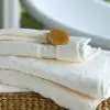 Hampton Avenue Ivory Cotton Set of 2 Hand Towels 