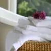 Lea Blanc White Cotton Set of 2 Hand Towels 