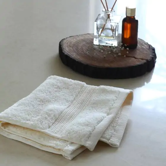 Hampton Avenue Ivory Cotton Set of 4 wash Towels
